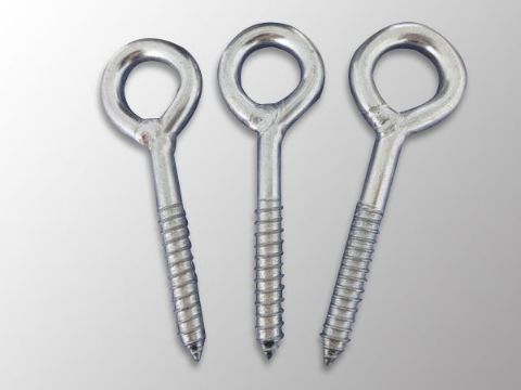點(diǎn)擊查看詳細(xì)信息<br>標(biāo)題：Eye Bolt 閱讀次數(shù)：1233