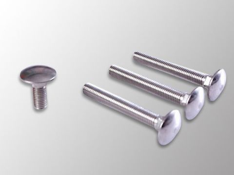 點(diǎn)擊查看詳細(xì)信息<br>標(biāo)題：Carriage Bolt 閱讀次數(shù)：1268