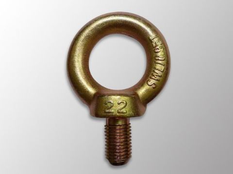 點(diǎn)擊查看詳細(xì)信息<br>標(biāo)題：吊環(huán)螺栓DIN580 閱讀次數(shù)：1424